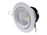 WW-DL-A2-12W
